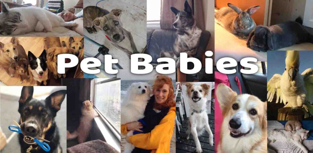 Pets and Fibromyalgia